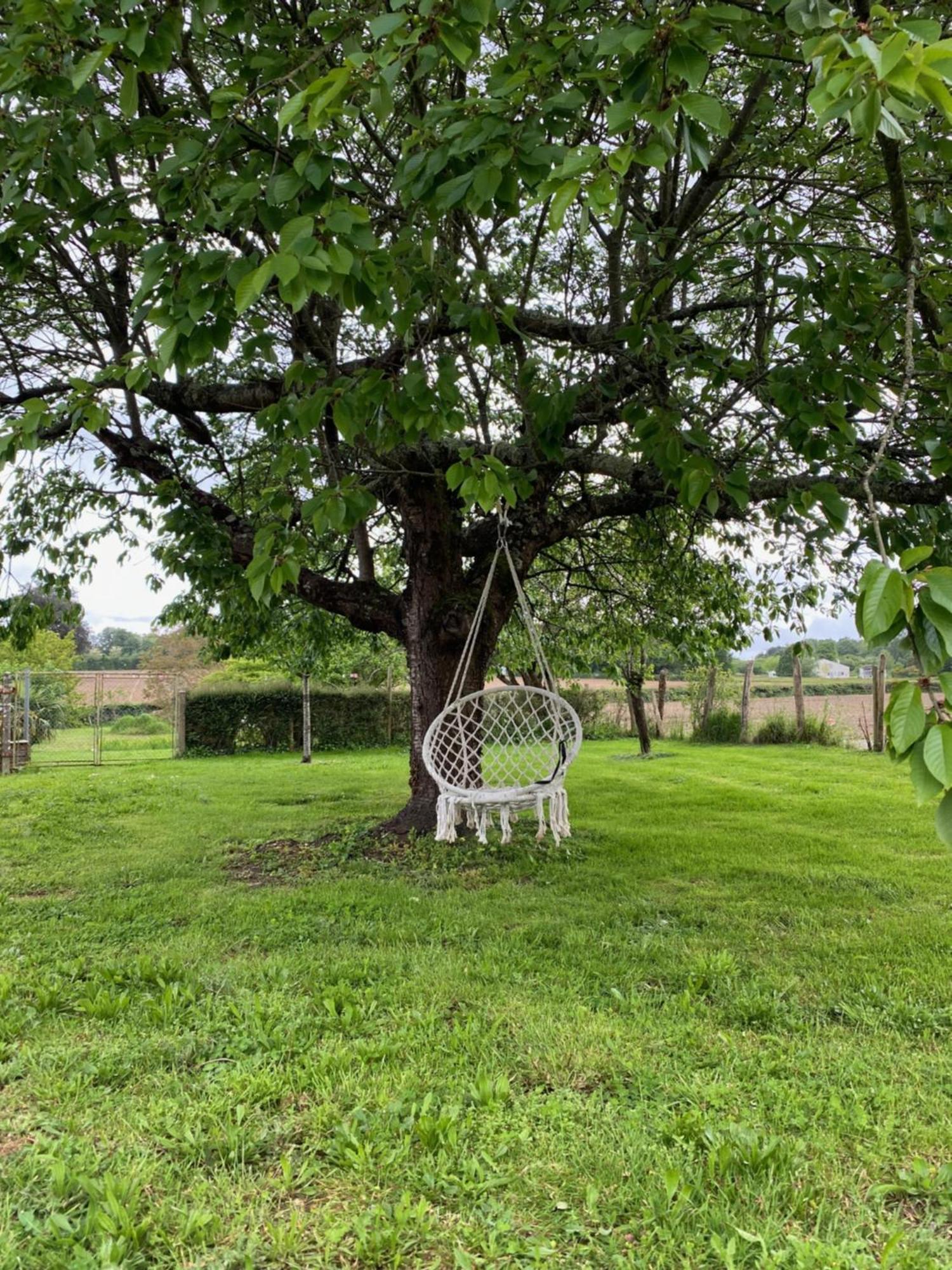 Le Domaine Du Petit Bois, Gite L'Etable Villa Varzay Exterior photo